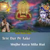 About Tere Dar Pe Aake Mujhe Kaya Mila Hai Song